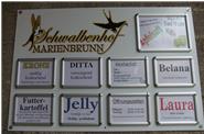 Schwalbenhof Marienbrunn GbR