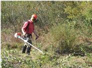Die Entbuschung von brach gefallenen Biotopflächen wie z. B. Streuwiesen ist aufwändig. Kleinere Gehölze können mit dem Freischneider (Motorsense) gut entfernt werden.