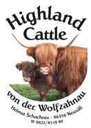 Highland Cattle von der Wolfzahnau