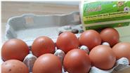 Eier gibt es bei uns in 10er Packungen oder auf 30er Höckern.
Größen M, L, XL