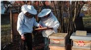 Unser BIO-Honig wird mit viel Fleiß von unseren Bienen eingetragen und mit viel Sorgsam geschleudert und abgefüllt.