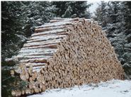 Im Winter ist traditionell Zeit für die Holzarbeit, da doch einige Waldflächen zu unseren Betrieb gehören sind wir hier laufend unterwegs. Diesen großen Polder Papierholz (schächeres Holz in 2m Länge) hat allerdings ein Lohnunternehmer für uns gearbeitet, die maschinelle Holzernte erfolgt heute überwiegend überbetrieblich.