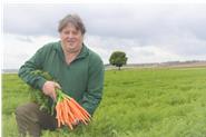 Jürgen Heilmann auf einem unserer Karottenfelder. 