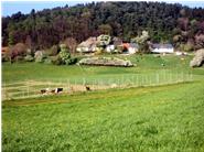 Unser Biohof in Gerolsbach mit Ochsenhaltung (Aubrac), Legehennen, Lamazucht und Ziegen