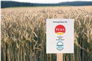 Roggenfeld der regionalen Erzeugergemeinschschaft für Roggen der Firma PEMA Vollkorn-Spezialitäten KG.