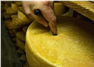 Mit dem sog. Käsbohrer wird geprüft wie weit der Käse schon gereift ist.