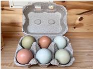 Unsere bunten Eier sind ein echter Hingucker! Sie strahlen nicht nur außen, sondern auch von innen. Unser leuchtend-gelber Dotter zeigt wie glücklich unsere Hühner im Freien sind! 
