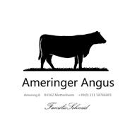 Ameringer Angus