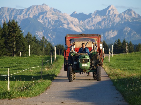 Mann fährt Traktor auf schmaler Straße, links und rechts grüne Wiese, im Hintergrund die Berge.